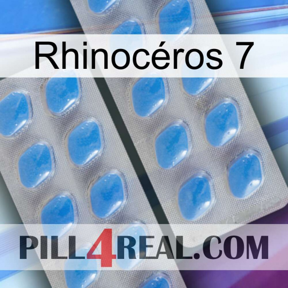 Rhinocéros 7 23